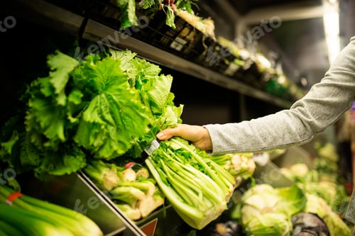 Preview: Close up of woman taking a lettuce in supermarket.