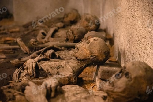 Preview: Mummified skulls in a crypt