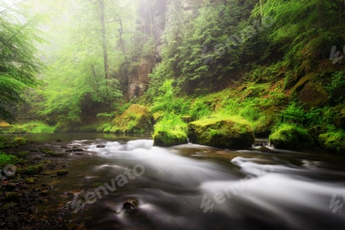 Preview: River view at Edmund Gorge of Bohemian Switzerland National Park, Czech republic