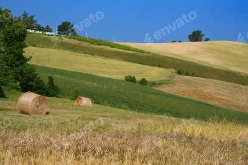 Preview: Rural landscape on Tortona hills, Piedmont, Italy