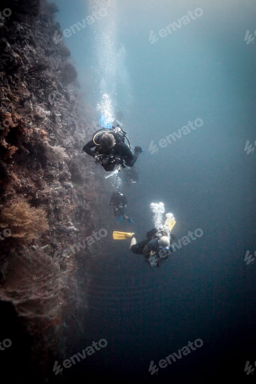 Preview: Divers exploring the serene depths of the ocean