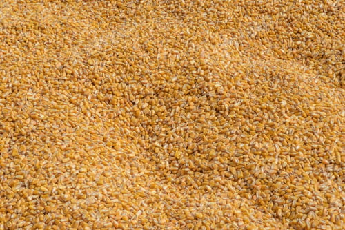 Preview: Corn grain bin background