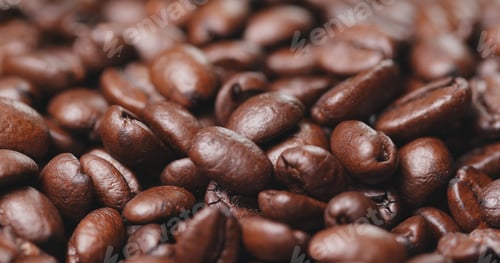 Preview: Roasted coffee bean