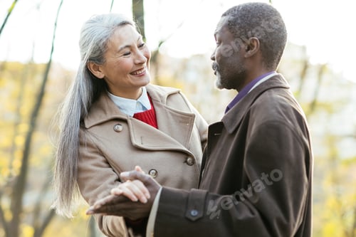 Preview: Storytelling image of a multiethnic senior couple in love