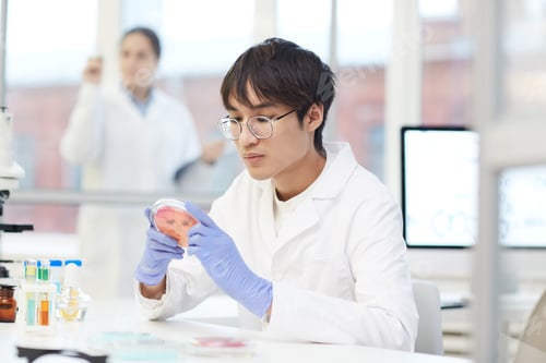 Preview: Focused on test sample in petri dish