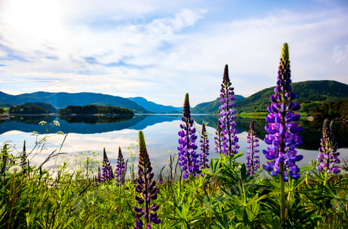 Preview: Beautiful Nature Norway.