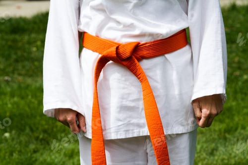 Preview: Tae Kwon Do
