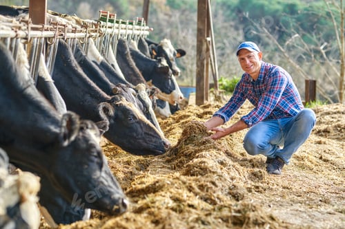 Preview: Portrait Of A Man On Livestock Ranches