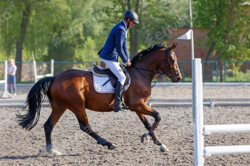 Preview: Young horseback sportsman on his course in showjumping competition