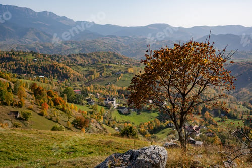 Preview: Stunning landscape of a lush mountainous region with an abundance of trees and majestic peaks