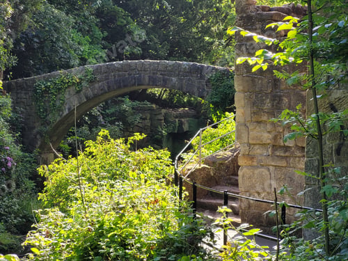 Preview: Old stone bridge in Jesmond Dene. Newcastle, England, UK.