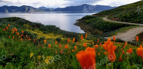 Preview: Panoramic shot of Diamond Valley Lake Visitors Center in California, USA