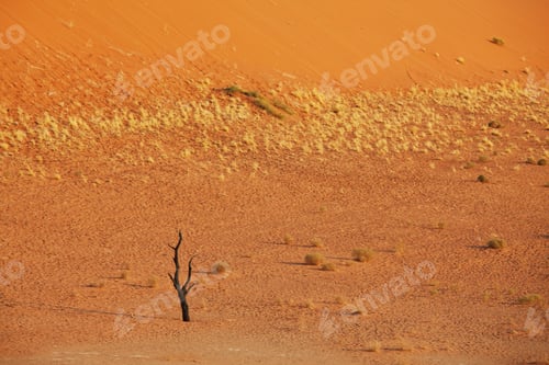 Vista previa: Sand desert in Namib