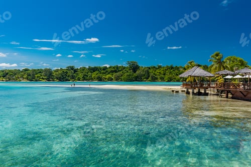Preview: Palm trees on a tropical beach, Vanuatu, Erakor Island, Efate