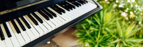 Preview: Piano Keys and Greenery Wide Banner with Copy Space