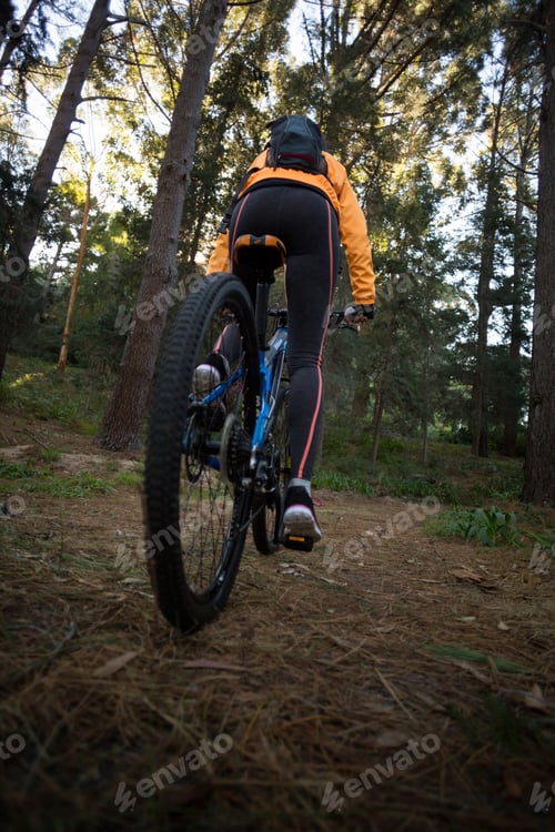 Preview: Female Biker Cycling In Countryside Forest