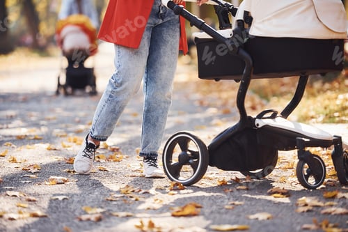 Preview: Close up view. Mother in red coat have a walk with her kid in the pram in the park at autumn time