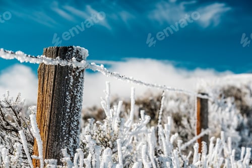 Preview: Landscape with hoarfrost on the fence