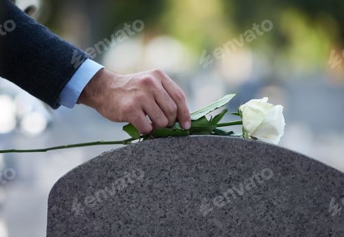 Preview: Paying his respects. Cropped shot of a man placing a white rose on a grave.