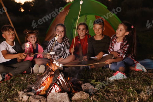 Preview: Little children frying marshmallows on bonfire. Summer camp