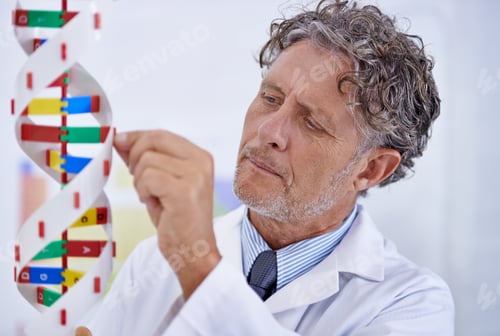 Preview: A passion for science. A mature scientist working on a DNA model in his lab.