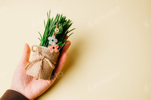 Preview: One beautiful flower martisor on sprouted wheat in a pot in a woman's hand.