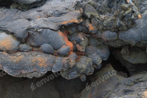 Preview: Closeup shot of a fresh lava field in Iceland with its small details