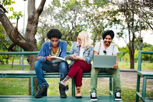 Preview: College Students Working Together Bleachers Concept