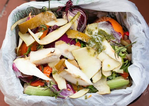 Preview: Organic waste for compost