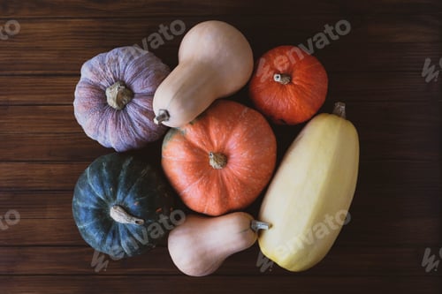 Preview: Colorful pumpkins on dark wooden rustic background.