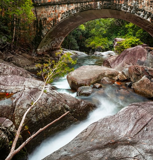The stream