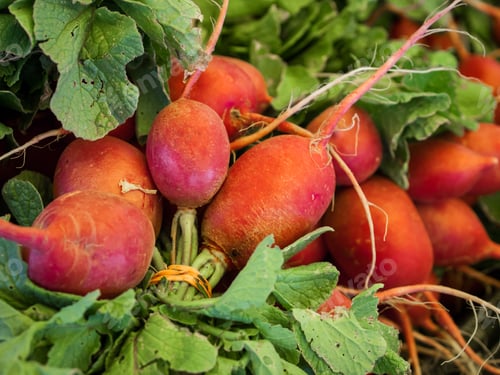 Preview: Fresh Vegetables