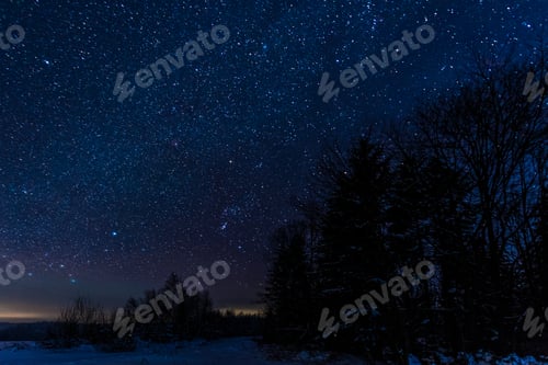 Preview: starry dark sky and trees in carpathian mountains at night in winter