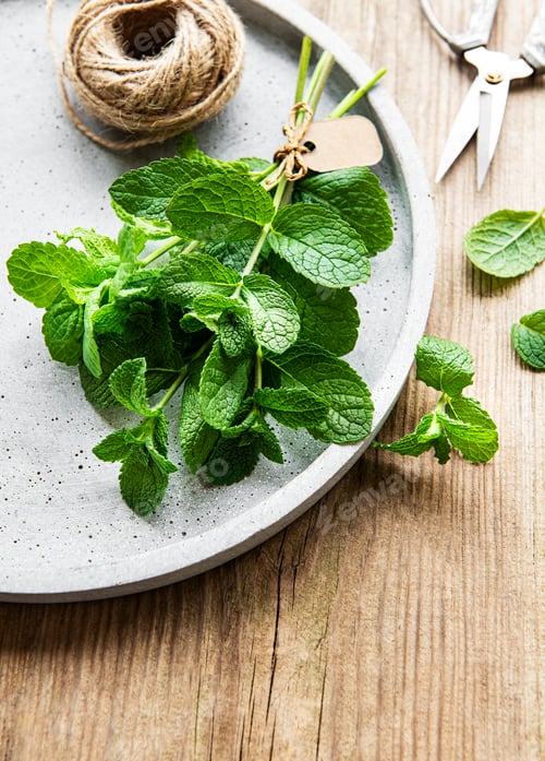 Preview: Fresh herbs