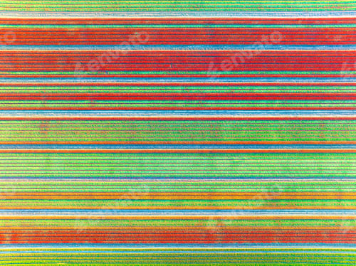 Preview: Drone view of a field of tulips. Landscape from the air in the Netherlands. Rows on the field.
