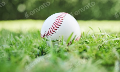 Preview: Baseball, sports and recreation with a ball on the grass, closeup waiting for a game or competition