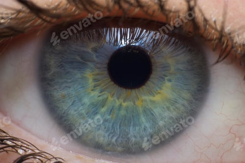 Preview: Closeup shot of the blue eye of a female