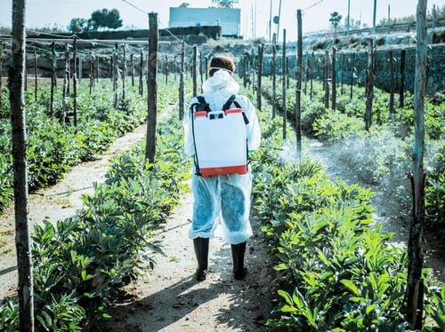 Preview: A woman spraying an orchard in protective gear