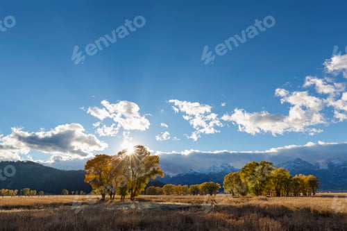 Preview: USA, Wyoming, Rocky Mountains, Grand Teton National Park, aspens in autumn