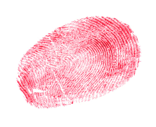 Preview: Fingerprint made with blood on white background, top view