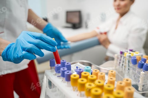 Preview: Competent researcher putting test tube in holder