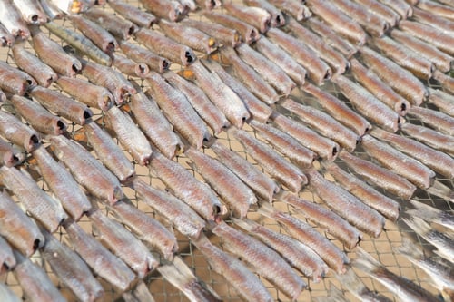 Preview: Row of salted fresh fish drying in local market. Fresh food for cooking or sale. Fishery industry.