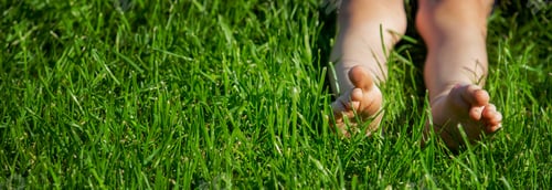 Preview: Children's legs on green grass. Selective focus.