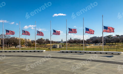 Preview: American Flags with US Capitol on background - Washington, D.C., USA
