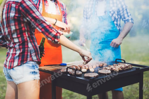 Preview: Friends enjoying bbq party
