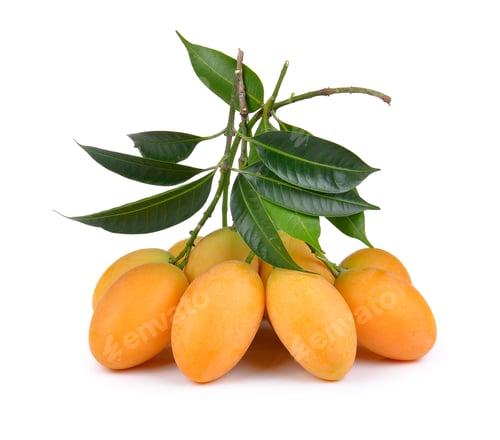 Preview: sweet marian plum thai fruit isolated on white backgroun