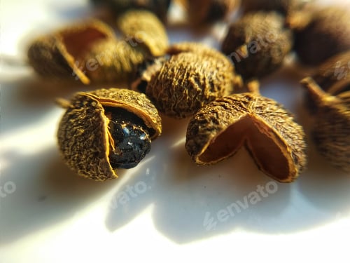 Preview: Macro Shot of Spice