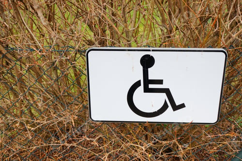 Preview: Sign showing a person on a wheelchair between dry branches