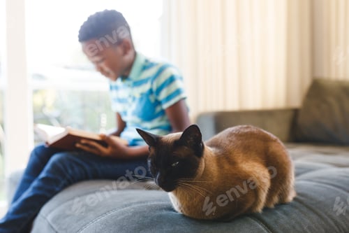 Preview: African american boy reading book and sitting on couch with cat in sunny living room