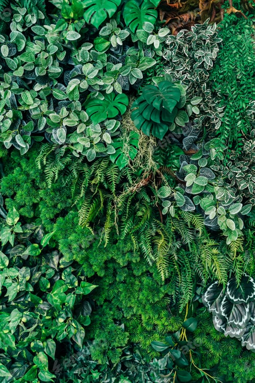 Preview: Close up group of background green leaves texture and Abstract Nature Background.